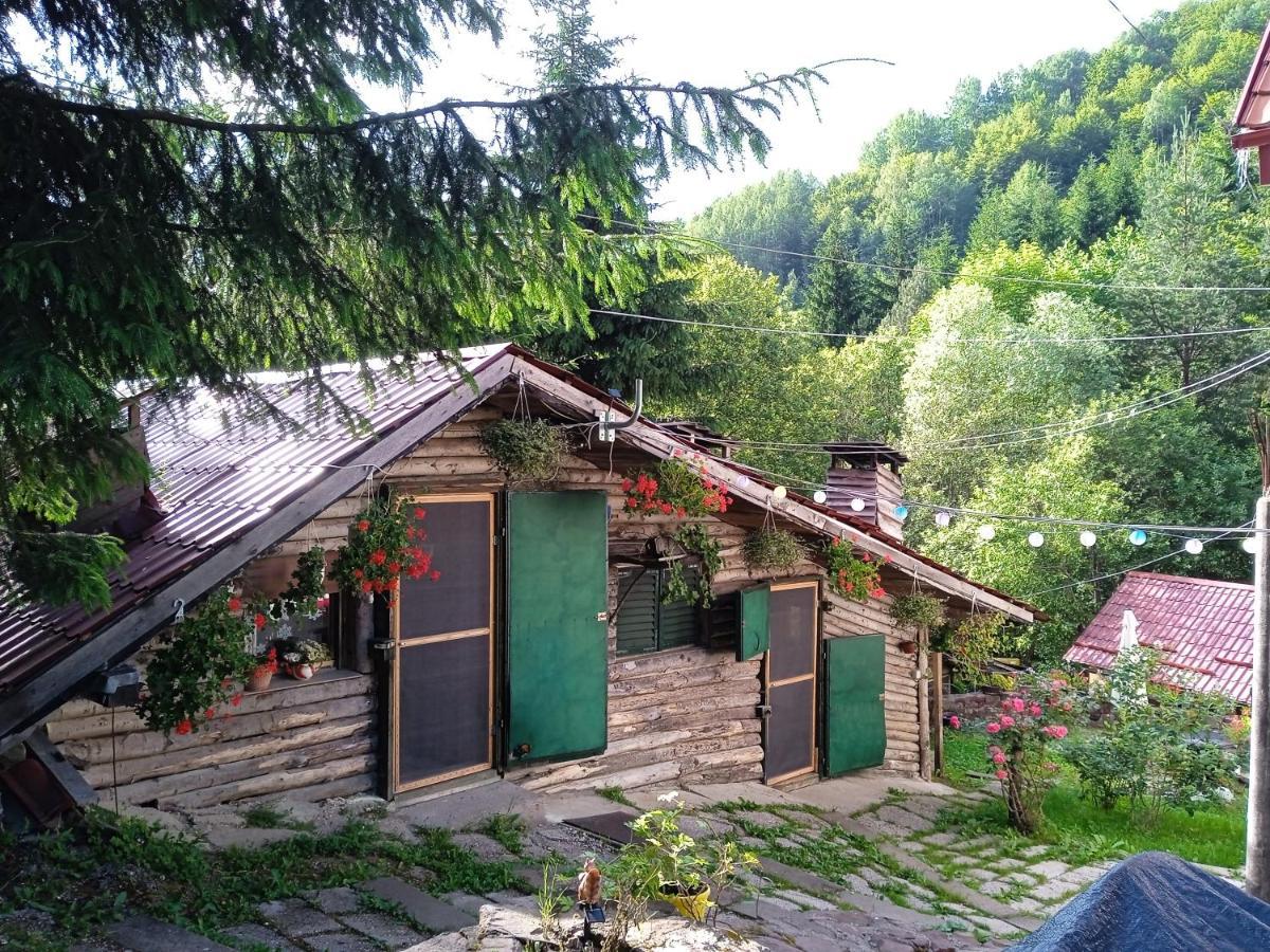 Апартаменты Zimska Idila Crni Vrh Экстерьер фото